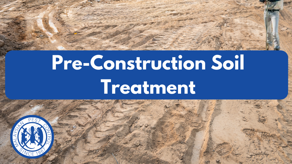 pre construction termites