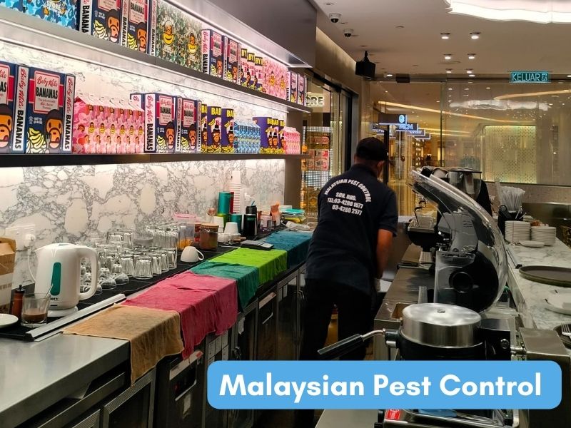 malaysian pest control sdn bhd