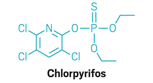 클로르피리포스(Chlorpyrifos): 금지된 살충제