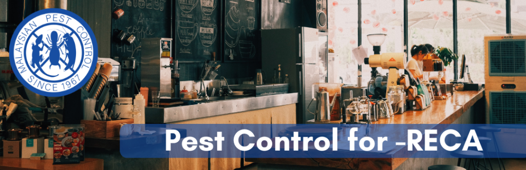 pest controls for restaurants and cafes
